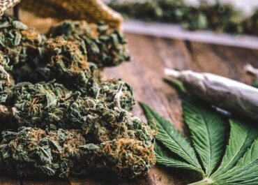 Що таке травка