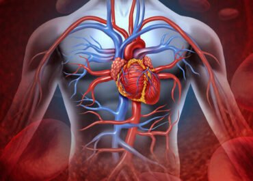 Як алкоголь впливає на серцево-судинну систему